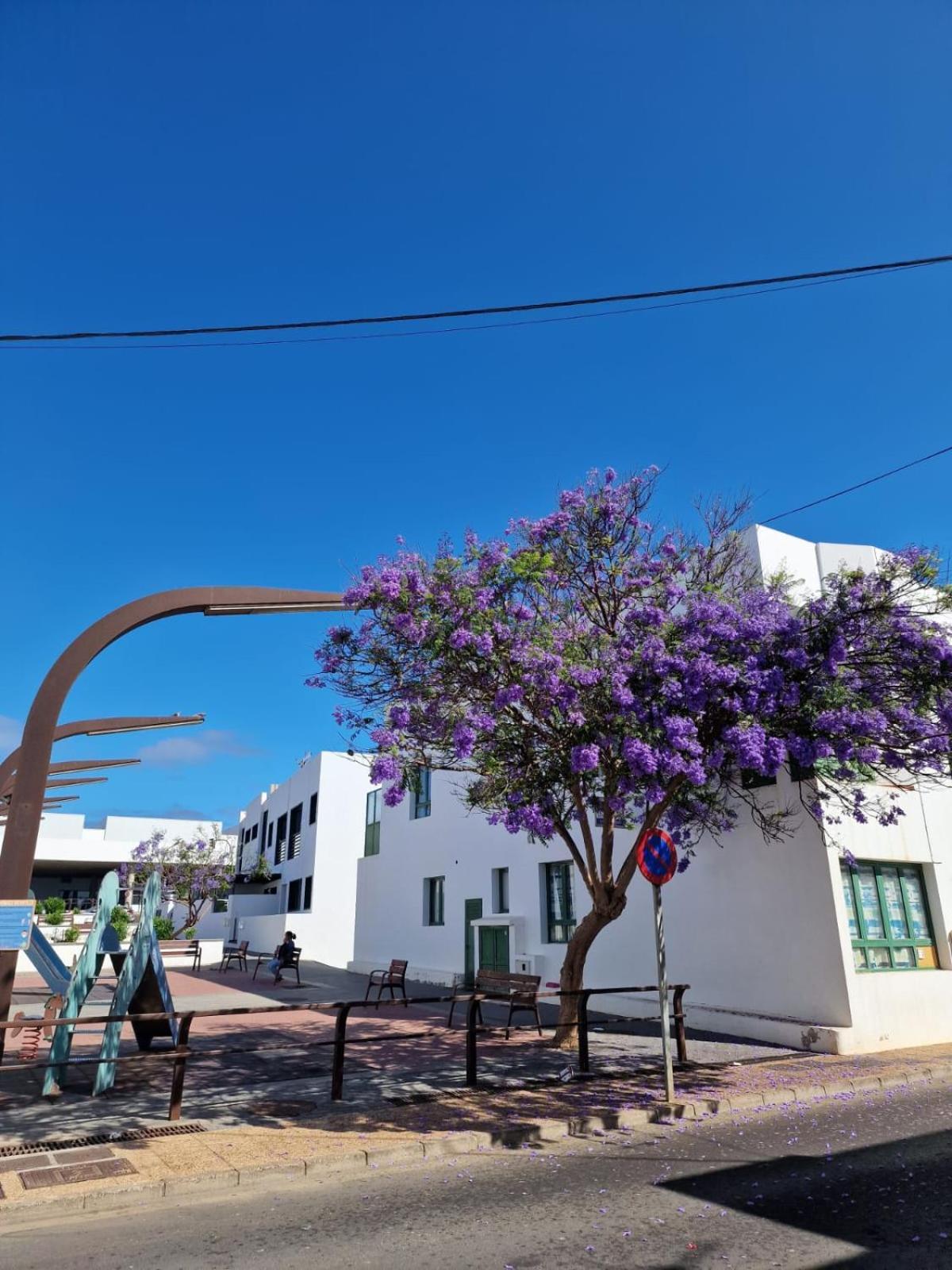 Apartamento Margarita Playa Blanca  Kültér fotó